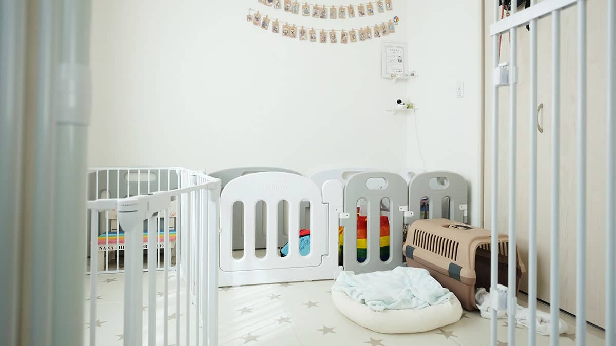 老犬介護ホームPumehana_ワンちゃんのお部屋