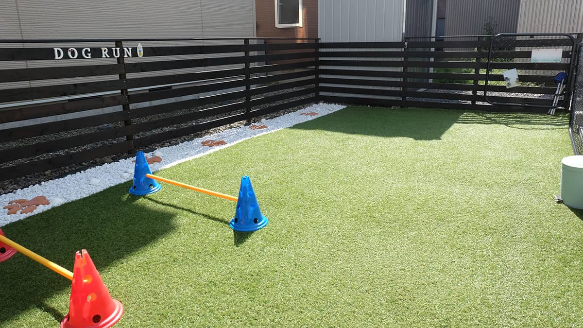 老犬介護ホームPumehana_ドッグラン