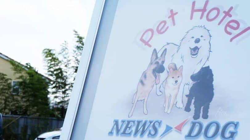 NEWSDOG_看板