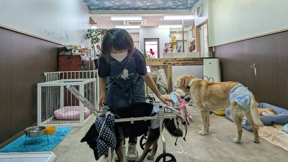 はまじぃの家_施設内観