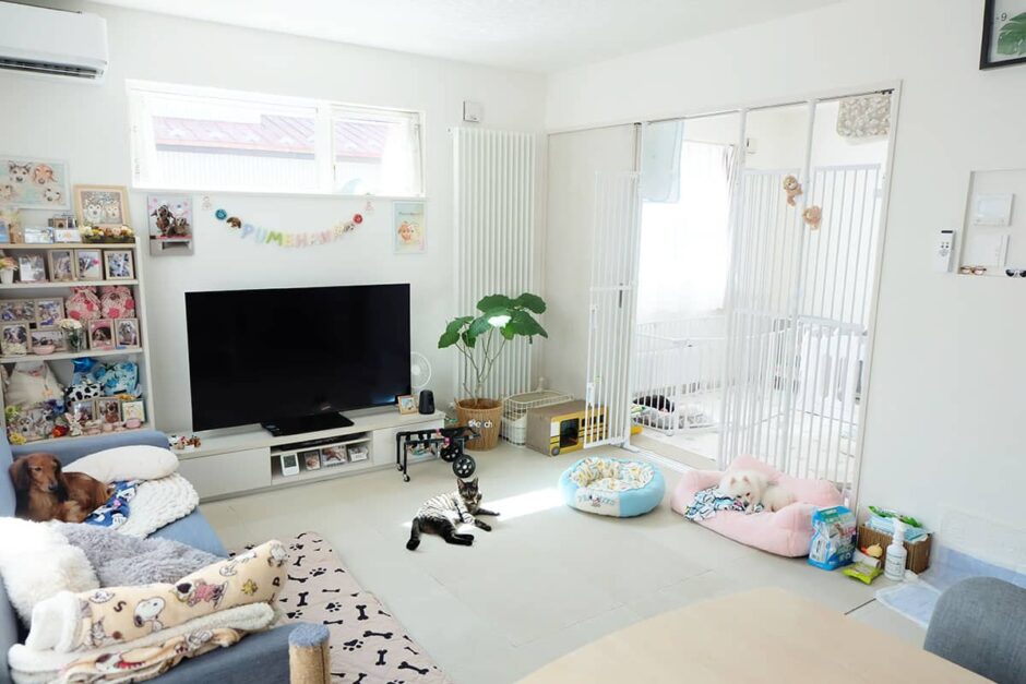 老犬介護ホームPumehana_施設内観