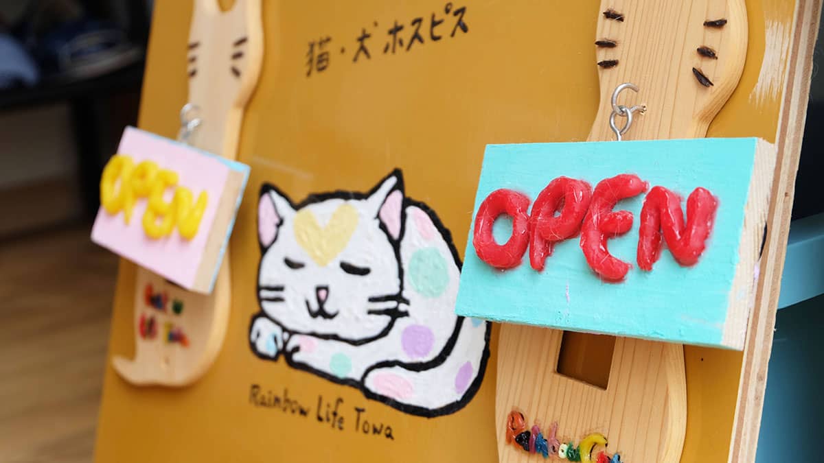 RaibowCat 虹猫_看板