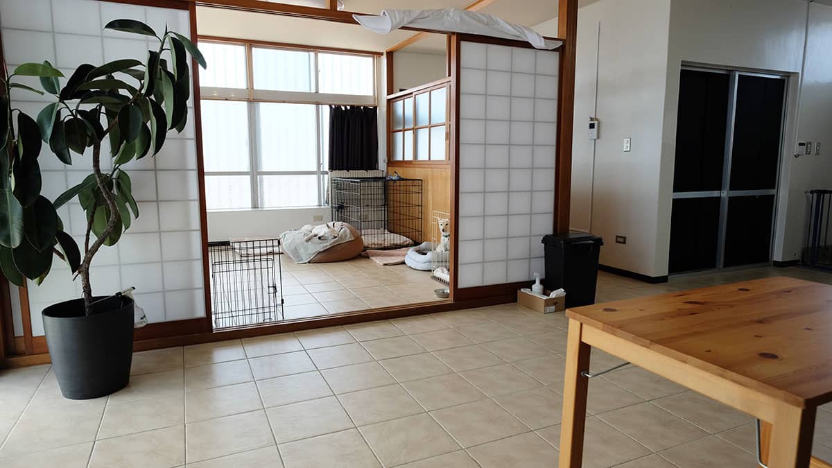 老犬ホームREGALO_施設内観