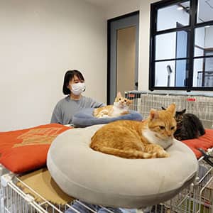 まるねこ_介護風景