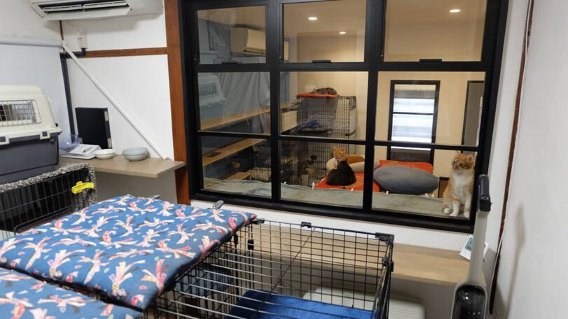 まるねこ_施設内観