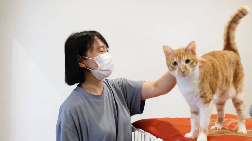 まるねこ_介護風景