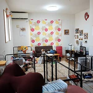 老犬介護ホームてるハウス_施設内観
