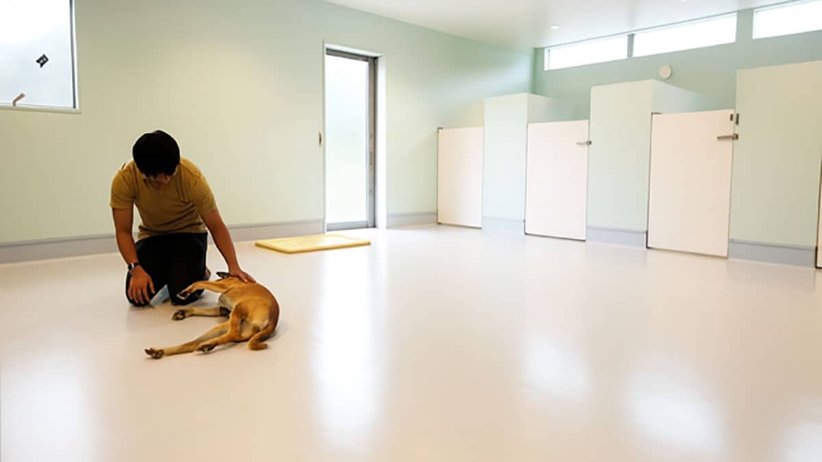 ani TERRACE-アニテラス_介護風景