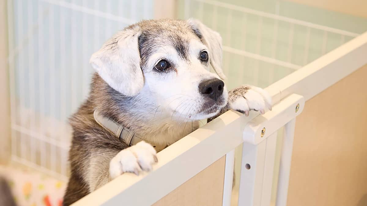 ani TERRACE-アニテラス_介護風景