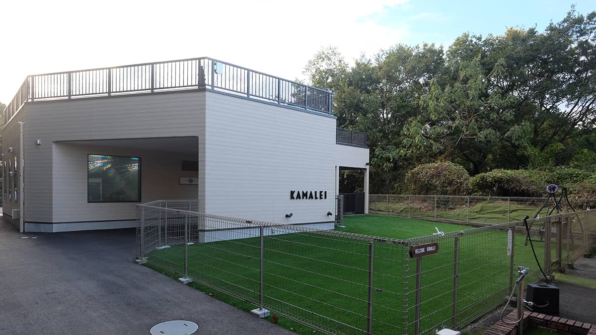 KAMALEI(カマレイ)_施設外観