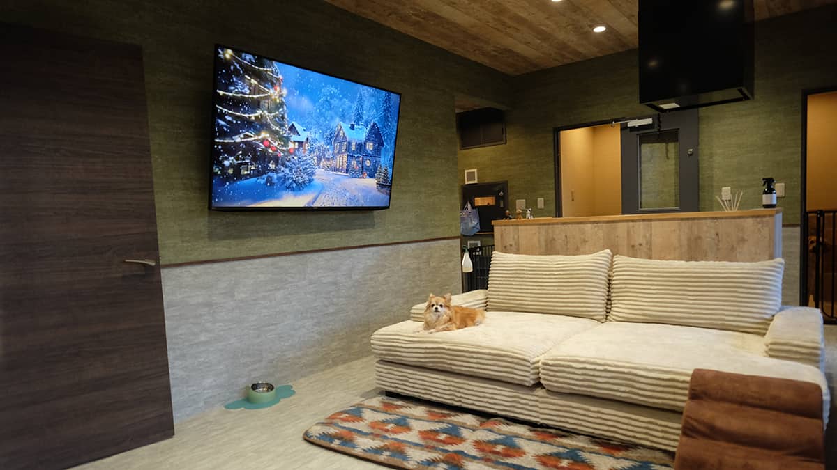 KAMALEI(カマレイ)_ワンちゃんのお部屋