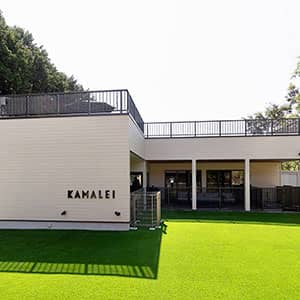 KAMALEI(カマレイ)_施設外観