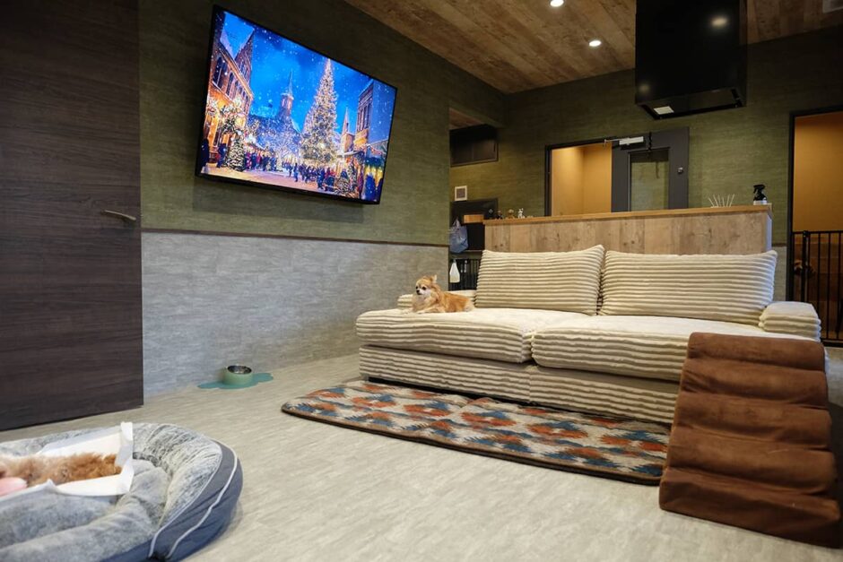 KAMALEI(カマレイ)_ワンちゃんのお部屋