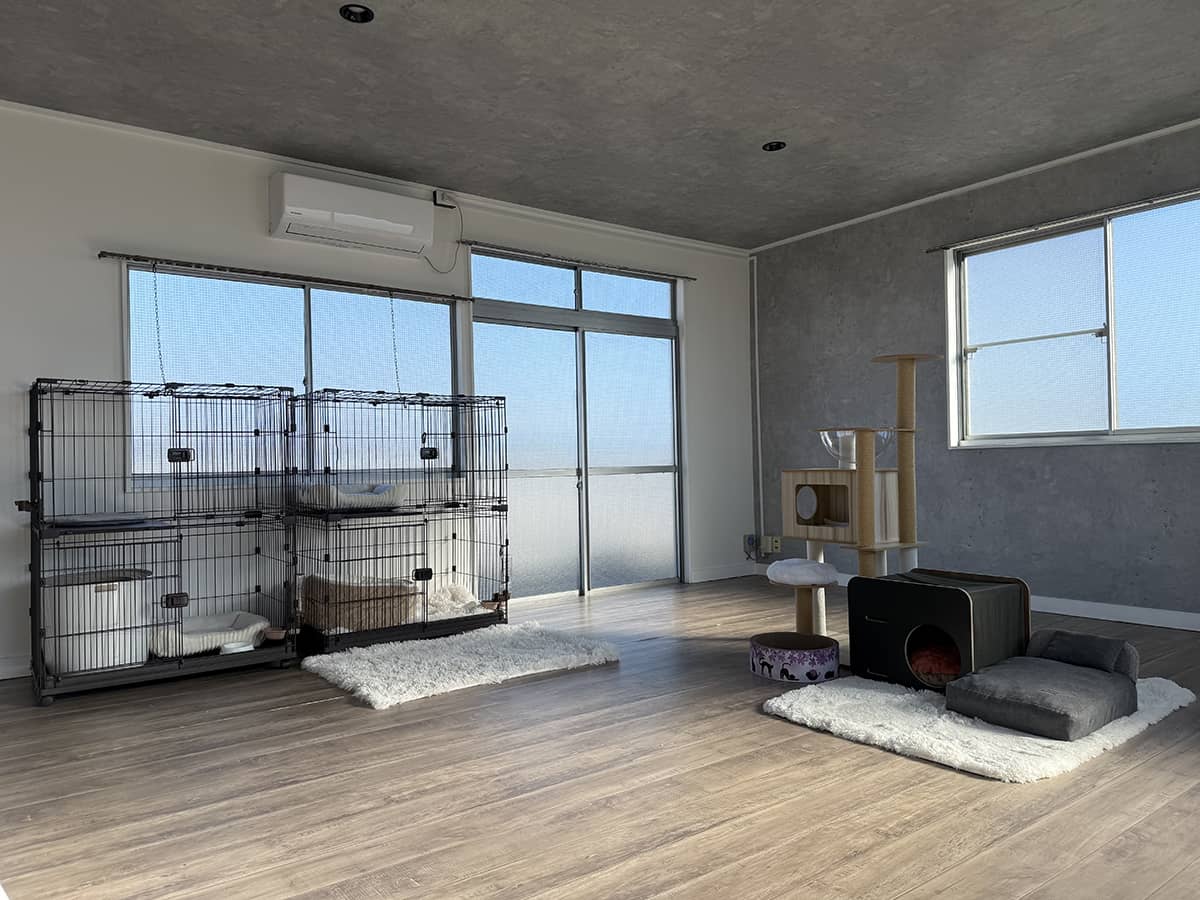 MC Kofu_老猫ホームの様子