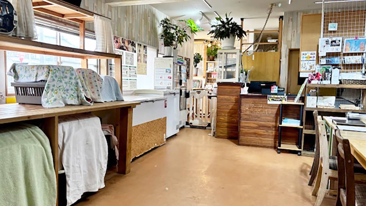 わんダーらん(施設内観)