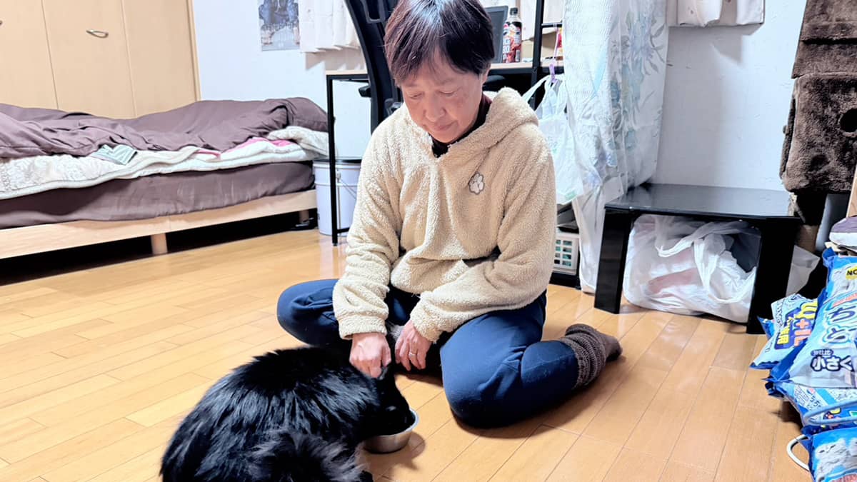 ベリーのおうち OYADO～おやど～_猫ちゃんのお世話の様子