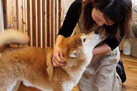 みんとの杜_介護風景