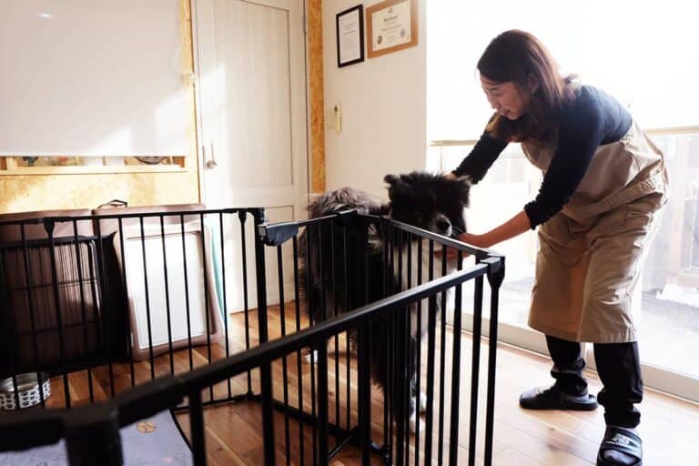 みんとの杜_看板犬のミント