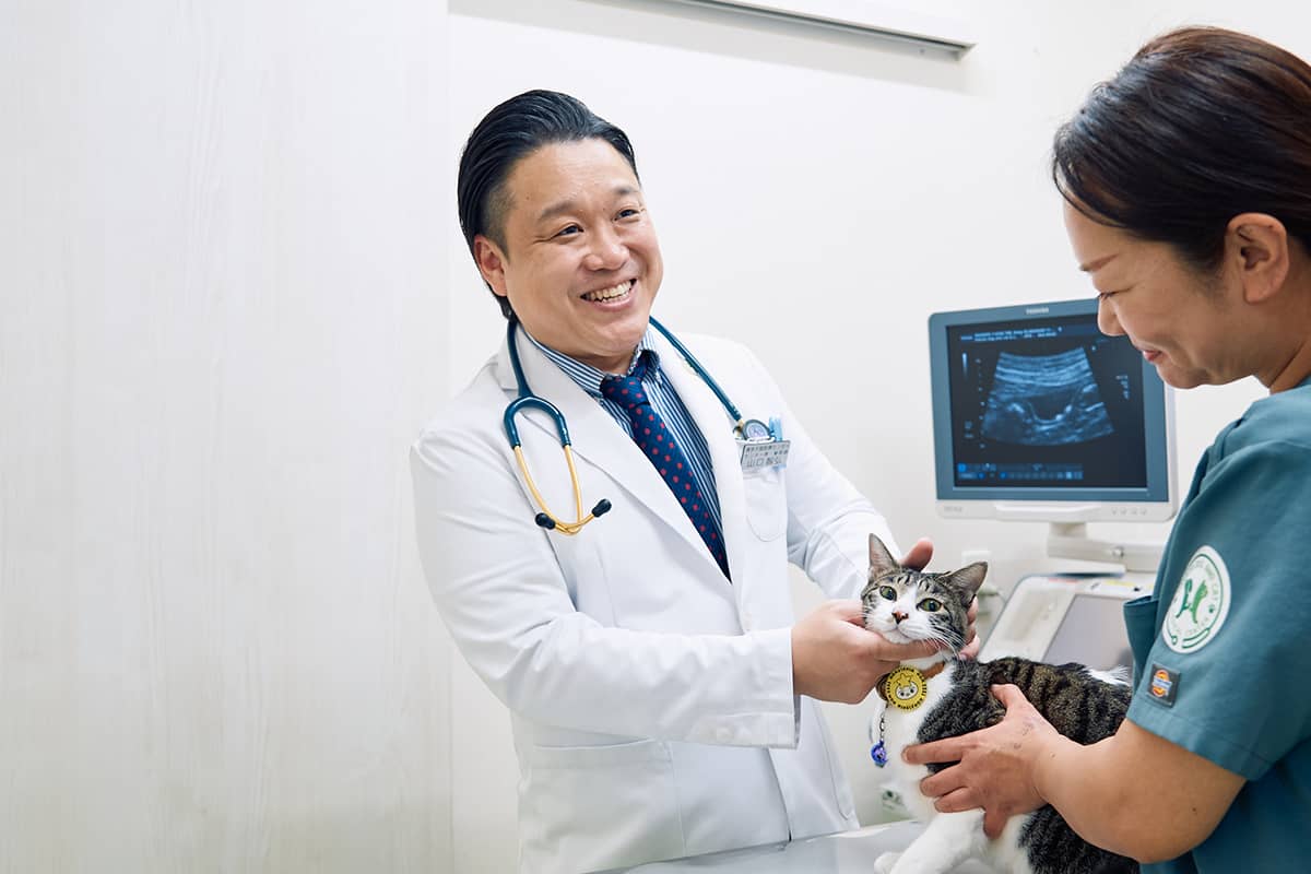 博多犬猫医療センター_診察風景