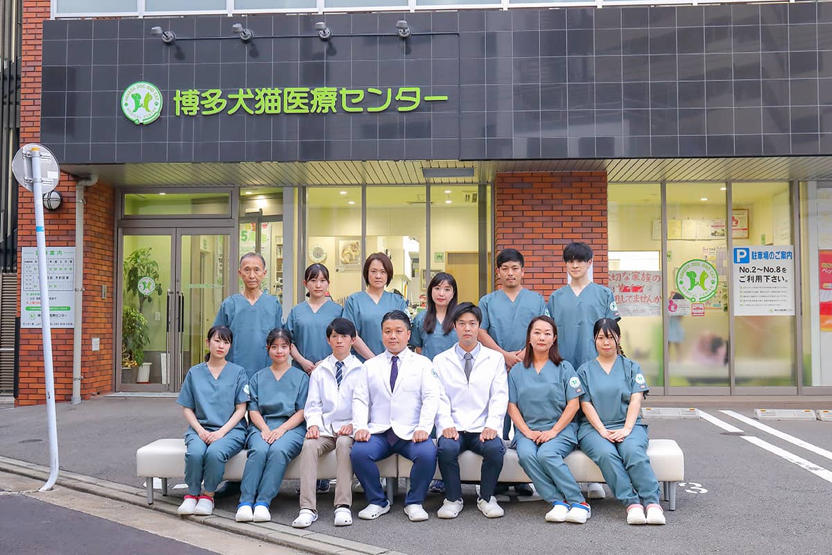 博多犬猫医療センター_スタッフ