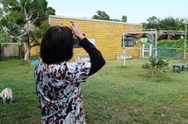 Jusmin Pet Service_ドッグラン