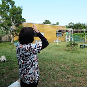 Jusmin Pet Service_ドッグラン