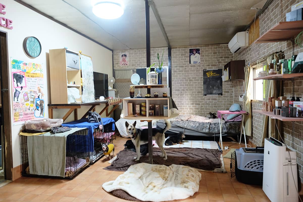 Jusmin Pet Service_施設内観