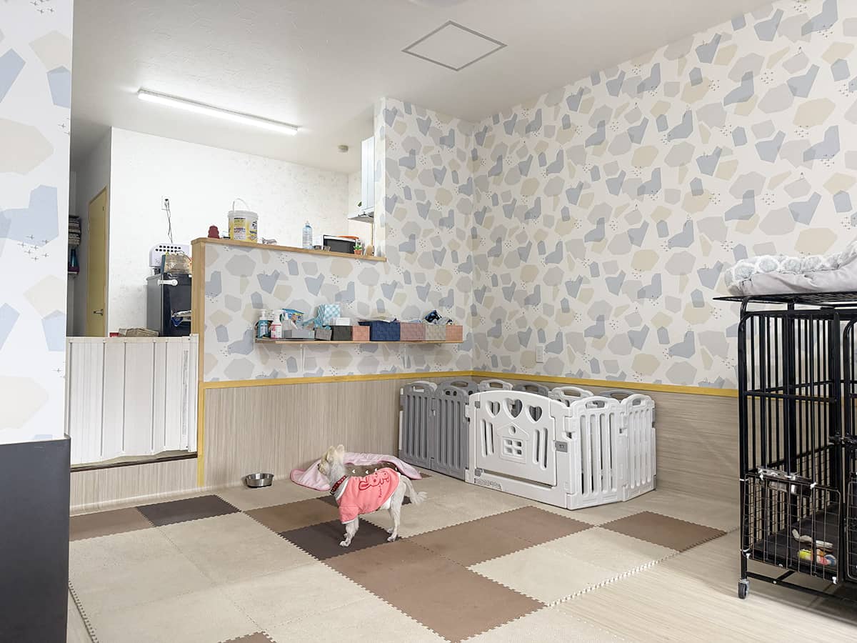 老犬ホームnico_施設内観