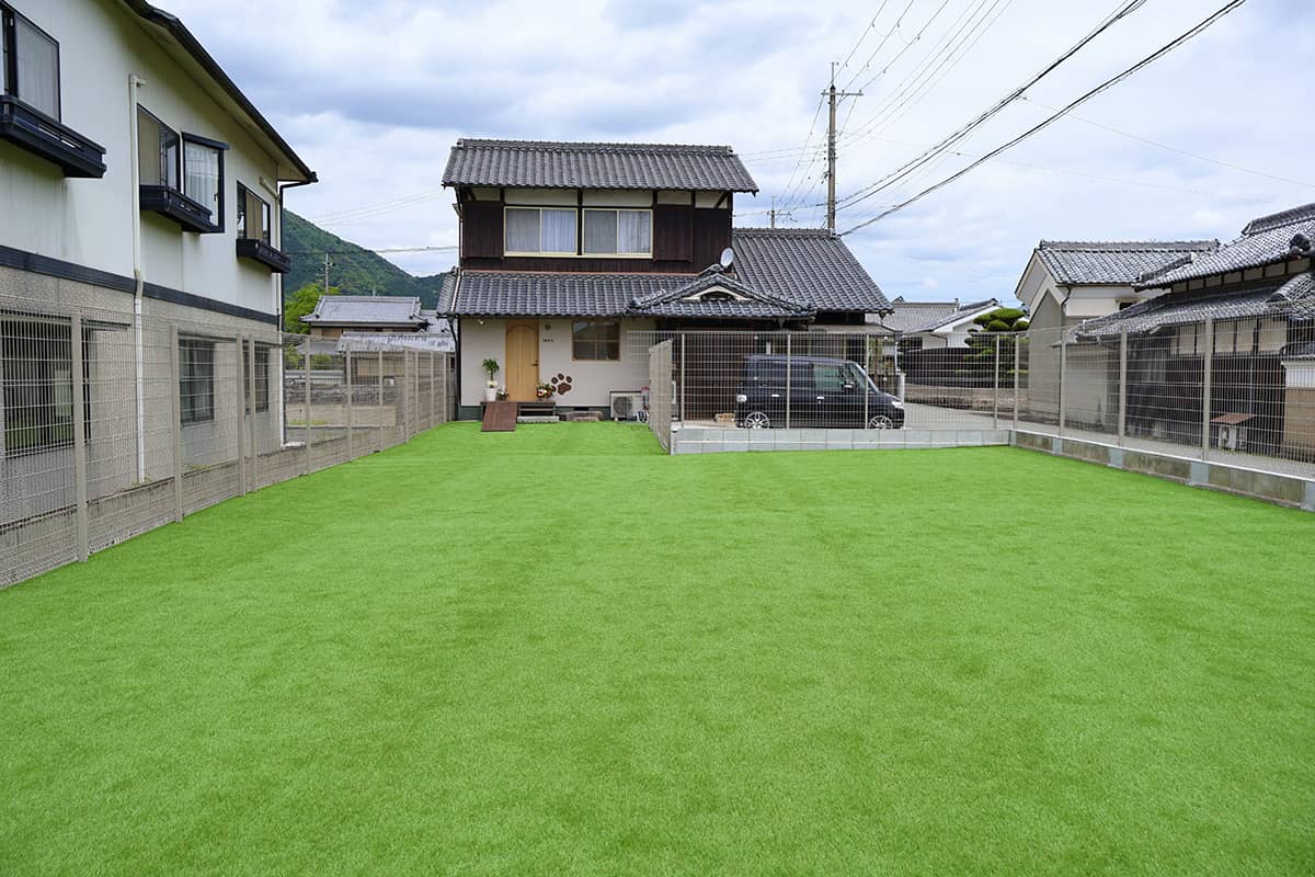 老犬ホームnorn(ノルン)_