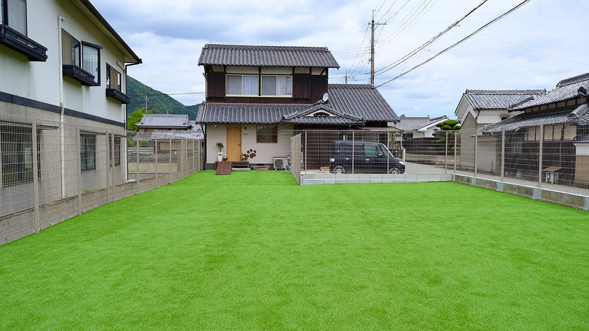 老犬ホームnorn(ノルン)_ドッグラン