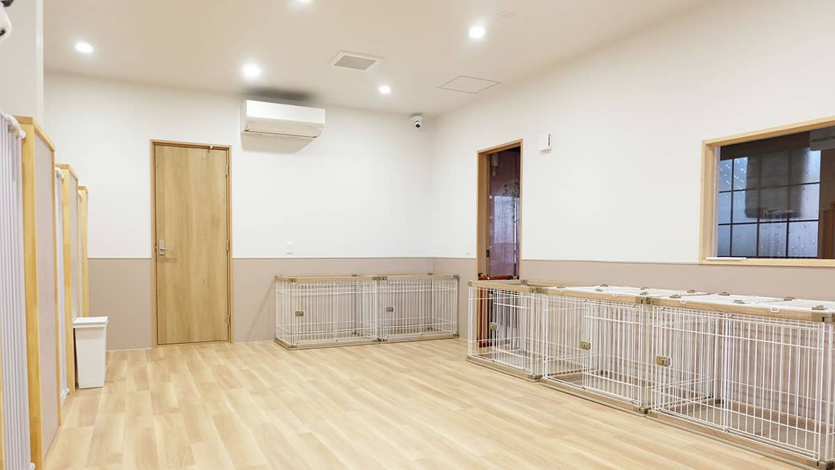 老犬ホームnorn(ノルン)_ワンちゃんのお部屋