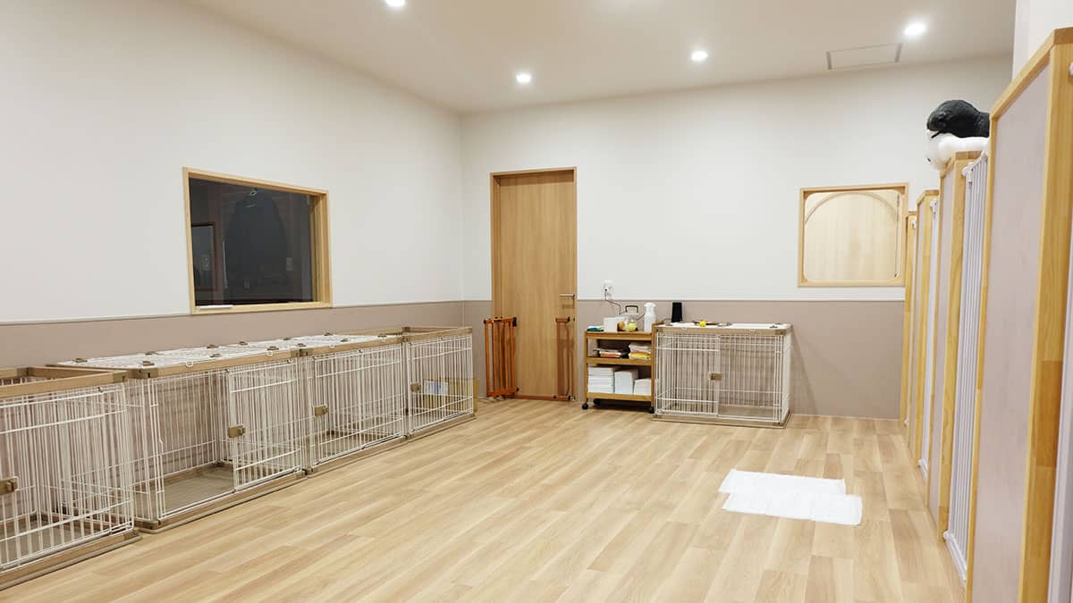 老犬ホームnorn(ノルン)_ワンちゃんのお部屋