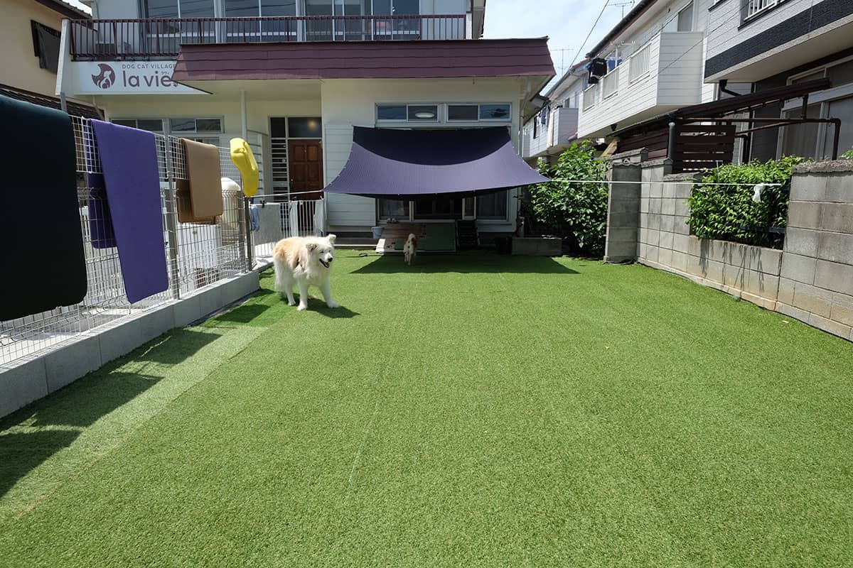 DOG CAT VILLAGE lavie_ドッグラン