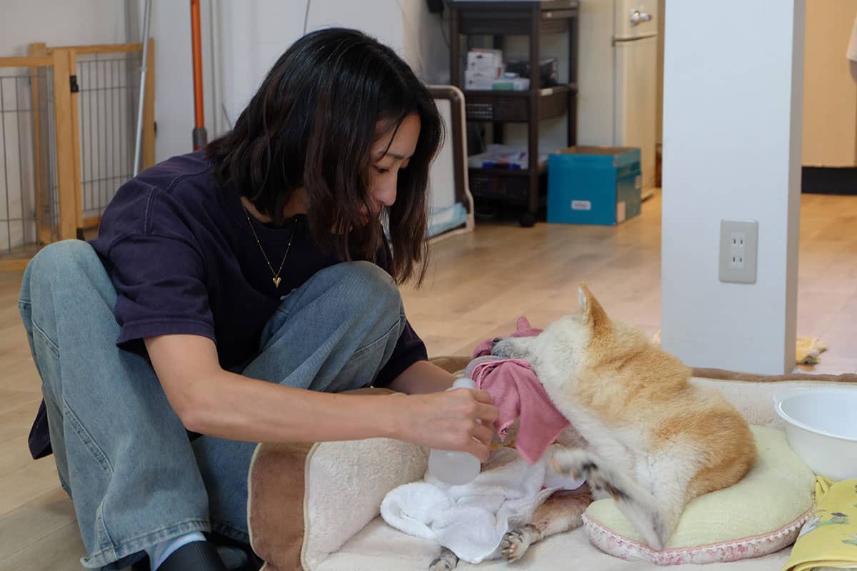 DOG CAT VILLAGE lavie_介護風景