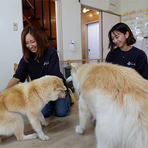 DOG CAT VILLAGE lavie_介護風景