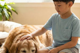 Young boy sits on a rug indoors, calmly stroking a golden retriever resting beside him.