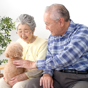 高齢者と老犬