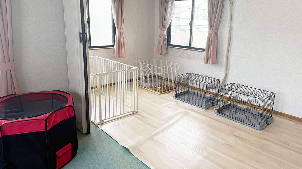 スマイルホーム大阪_ワンちゃんのお部屋
