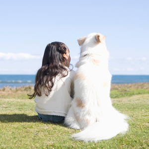 老犬と子供